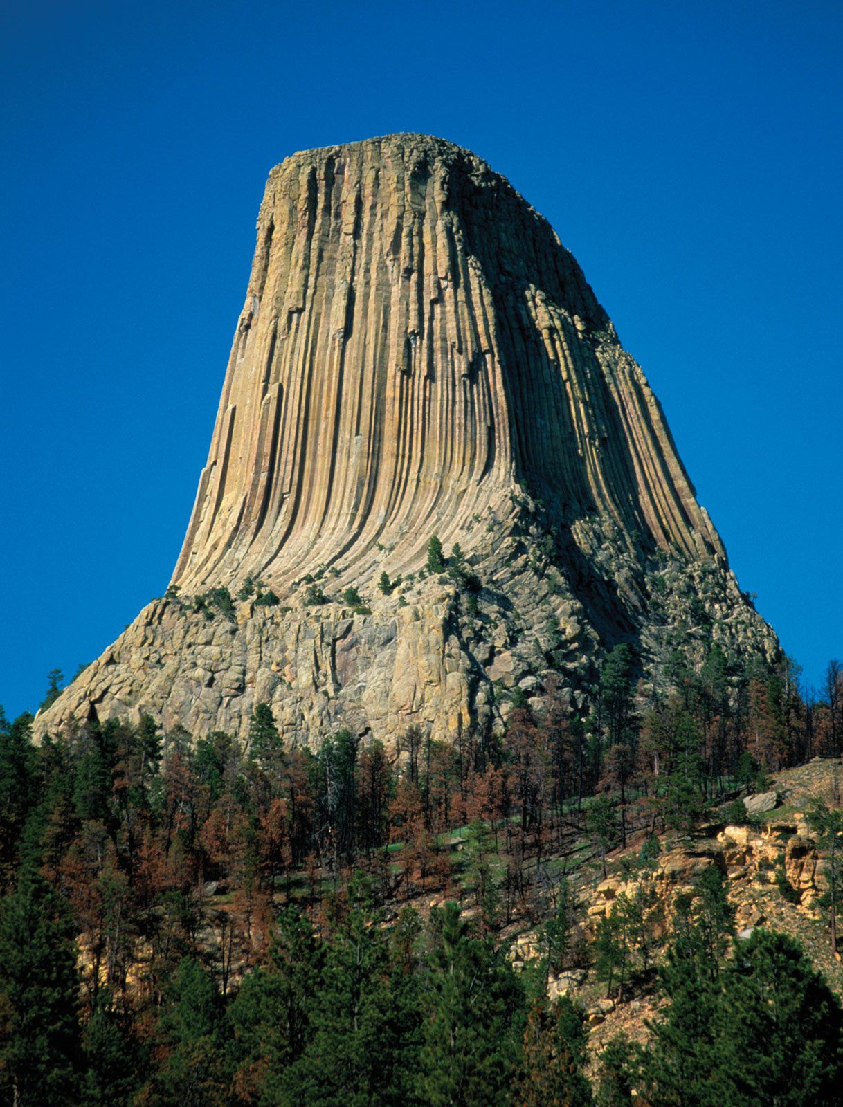 Devils Tower National Monument Devils Tower National Monument